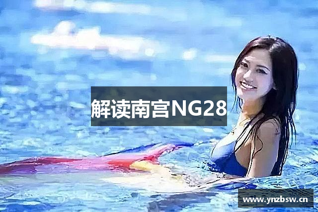 解读南宫NG28